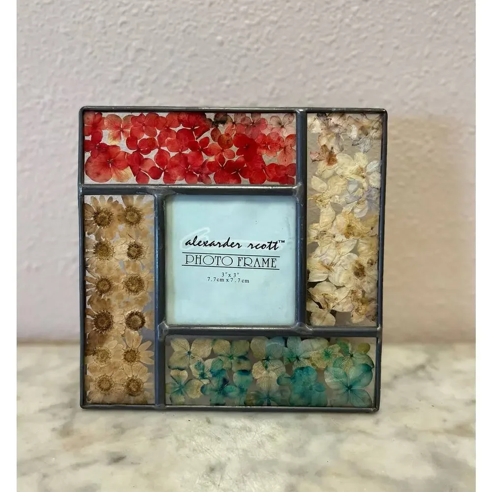 Y2K Alexander Scott pressed dried flowers tabletop frame